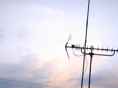 Busty Asian Japanese White Skin Sex Hardcore