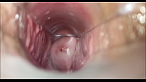 Vaginal Orgasm HD