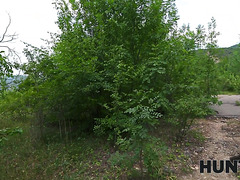 Skinny Babe Eva Lets A Stranger Pump Her Ass