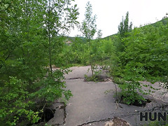 Skinny Babe Eva Lets A Stranger Pump Her Ass