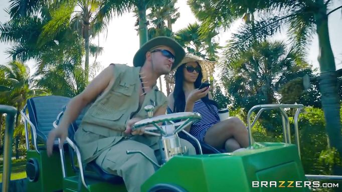 Adventure In The Jungle