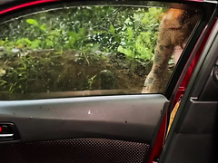 Guy Got Stuck In The Forest, But A Charming Slim Redhead Babe Pleased Him With Premium BJ In His Car