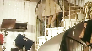 Vintage French Porn La Rabatteuse 1978 With Retro Stars